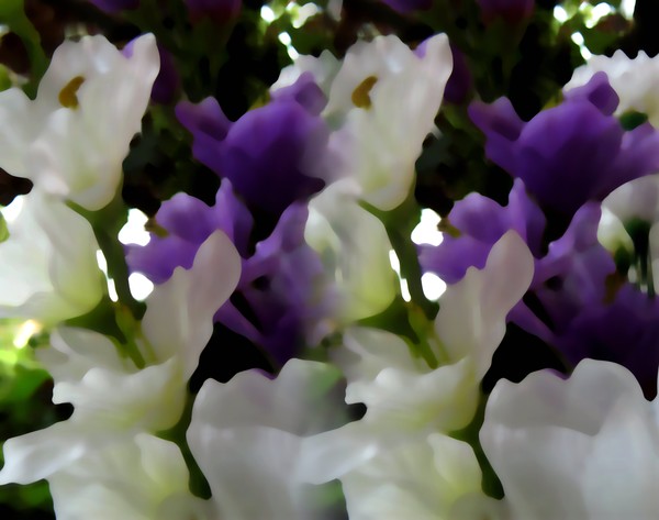 September Bouquet (One)