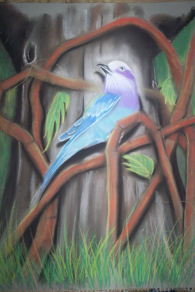 blue bird2
