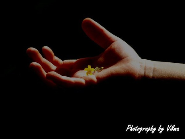 Small Wonders of Life