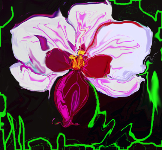 Lady in the orchid