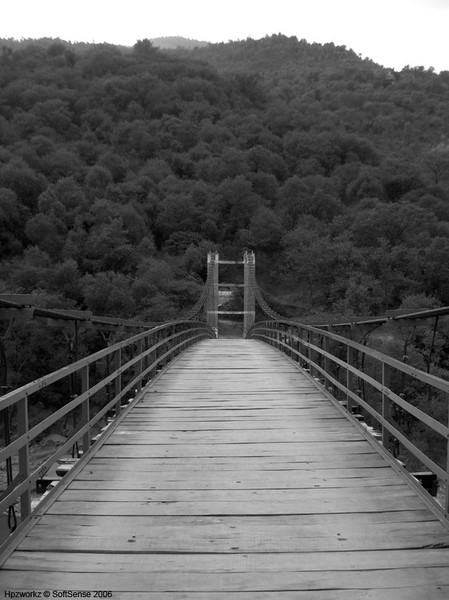The Bridge