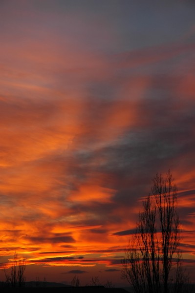Landscape1