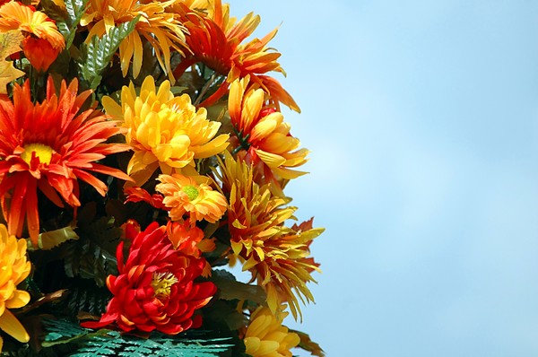 Color Of Fall Flowers