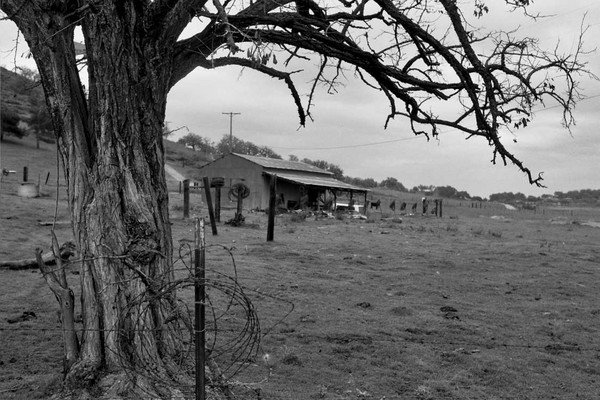 San Diego Barn