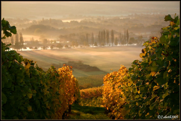 Autumn feeling ~ relaxing time ~