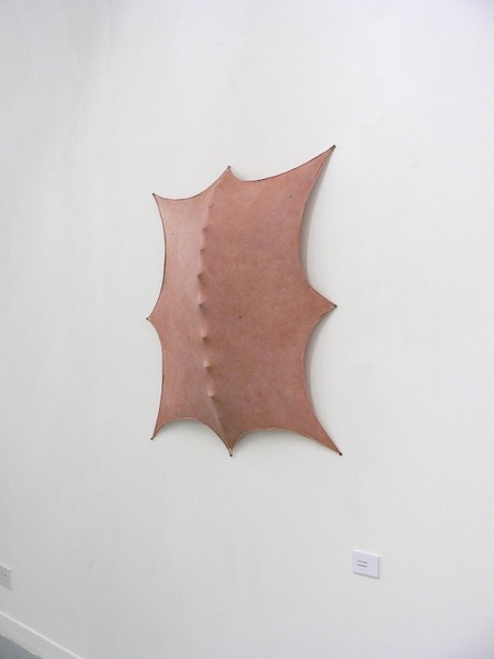 dermatoid 1