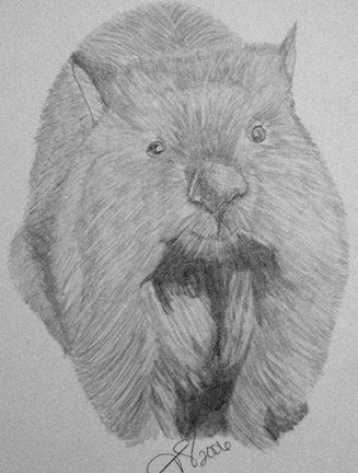 Wombat