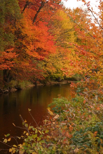 Peacefull Waters