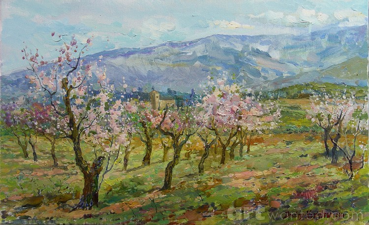 Spring in Milimanda
