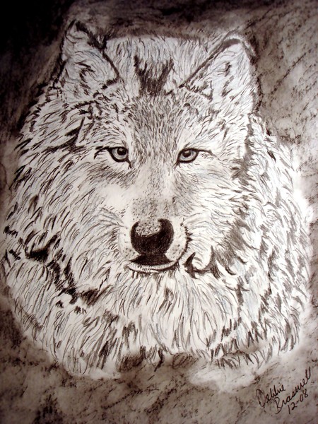 NIGHT WATCHER