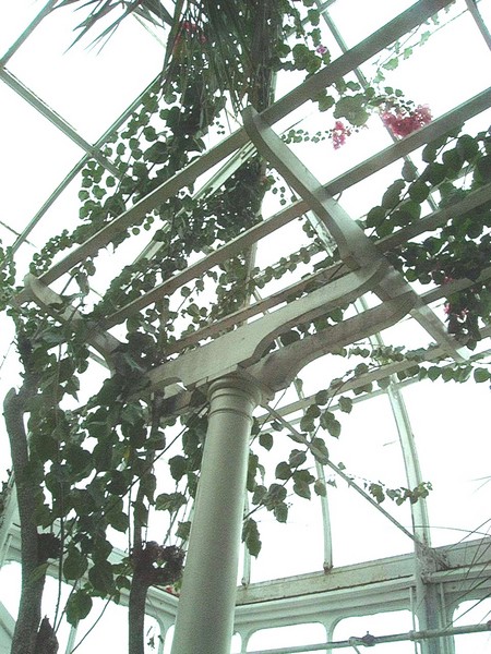 Above