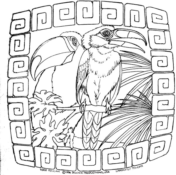toucans01