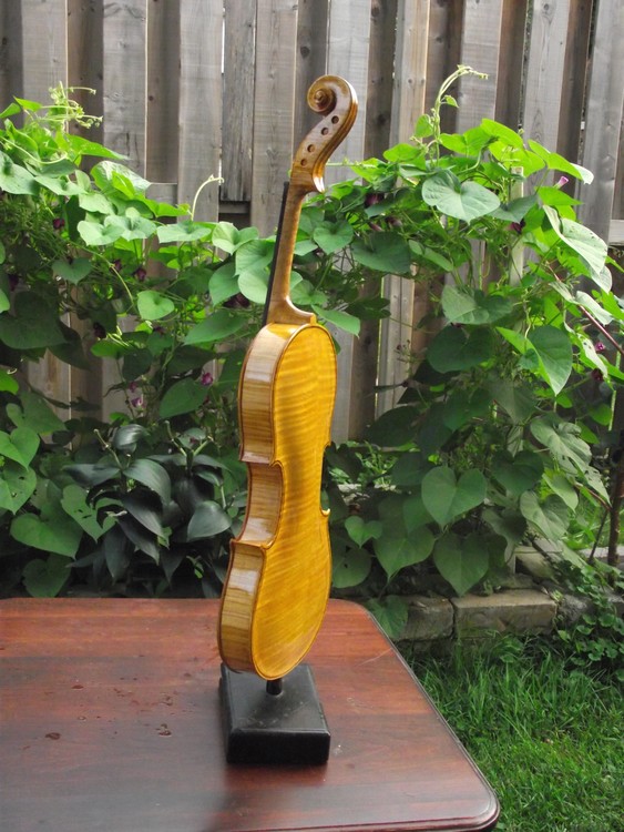 Violin 2017-2