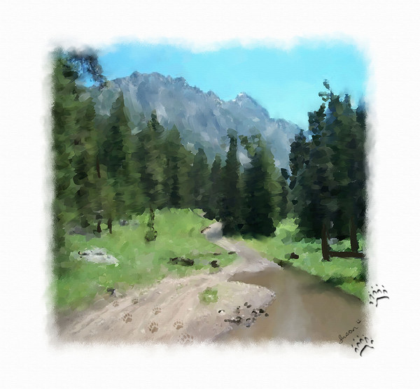 Montana Mudhole