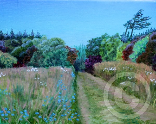 Landscape 