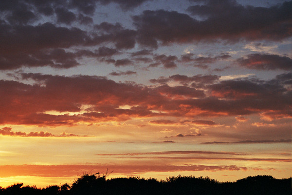 summer sky 2