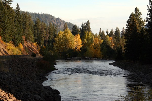 Glorious Fall