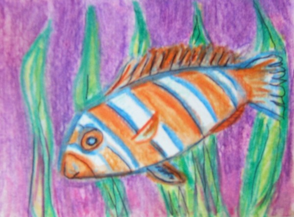 Harlequin Tusk by P Miller