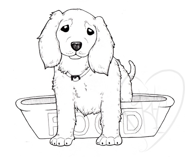 pup in food bowl