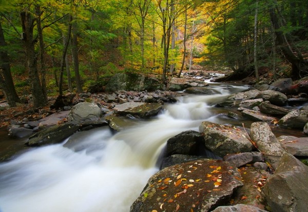 Three Seconds in Fall