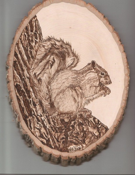 squirrel
