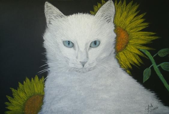 White Cat