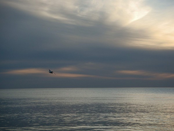 Flying