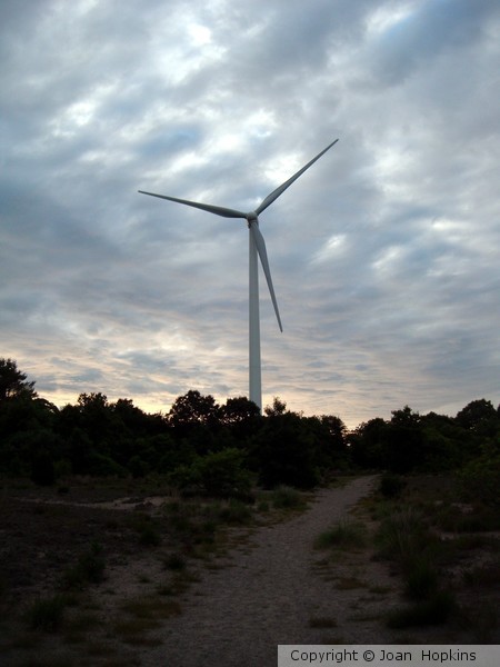 June28.2012 009