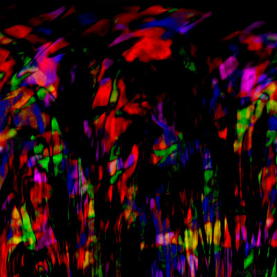 Gardens of Silence #8