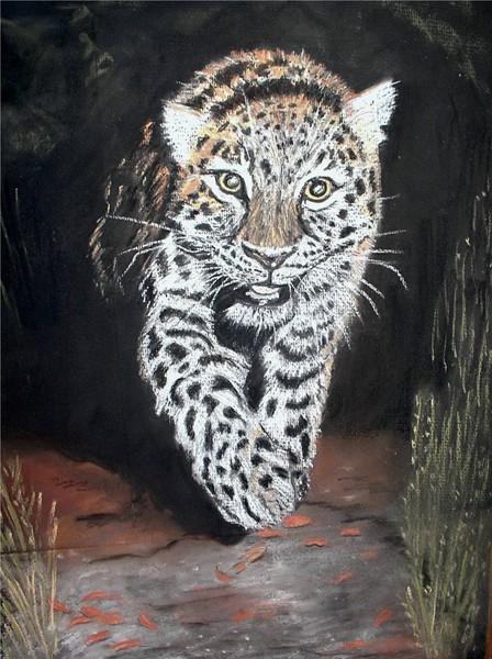 The Endangered Snow Leopard