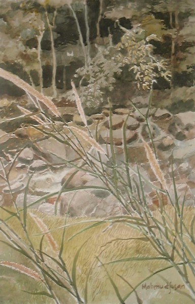The stream