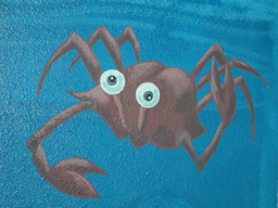 crab