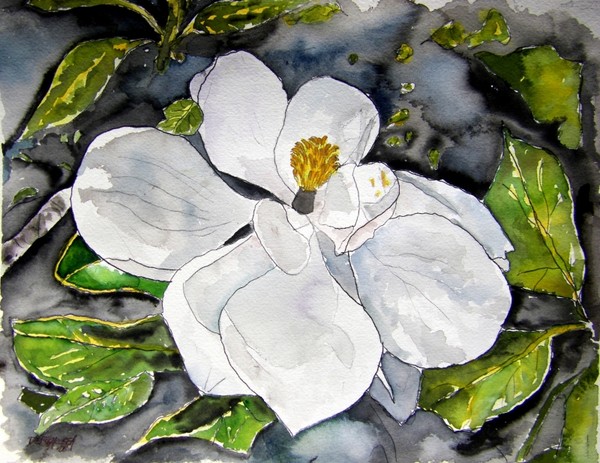 Magnolia