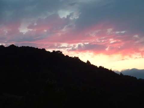 Evening Sky