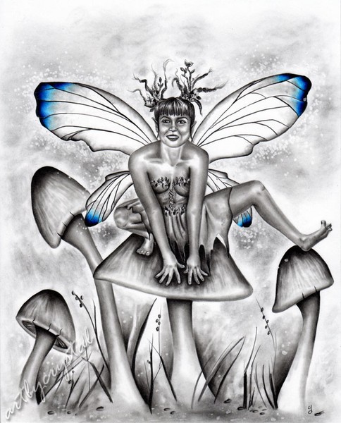 Mushroom Fairy