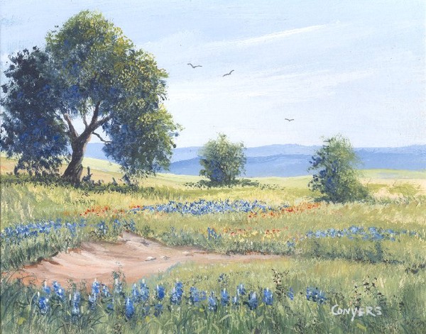 Texas hill country bluebonnets