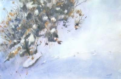 Hillside snow with tracks