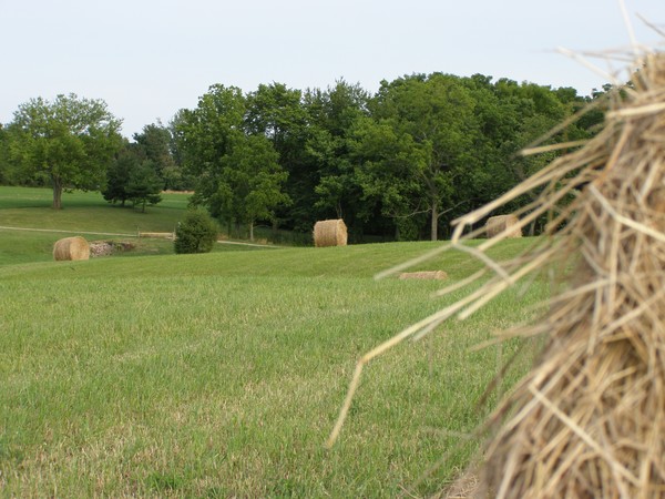 Midwest Midsummer