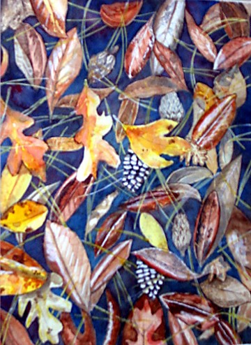 Fall Forest Floor