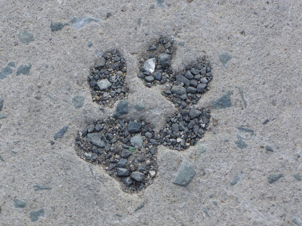 Traces we leave