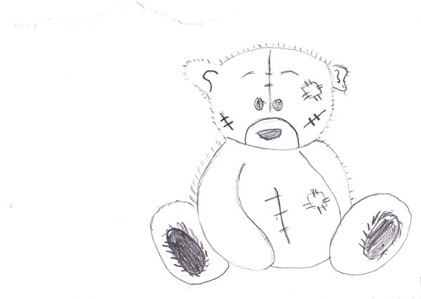 teddy