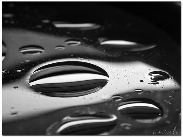 Waterproof conscience #1