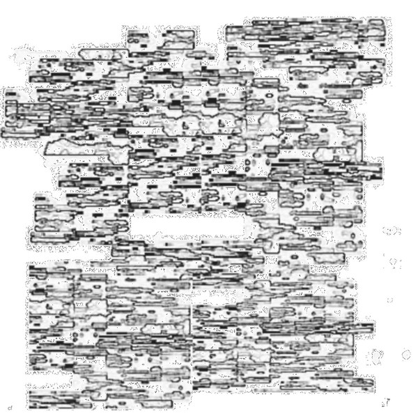 interlayer