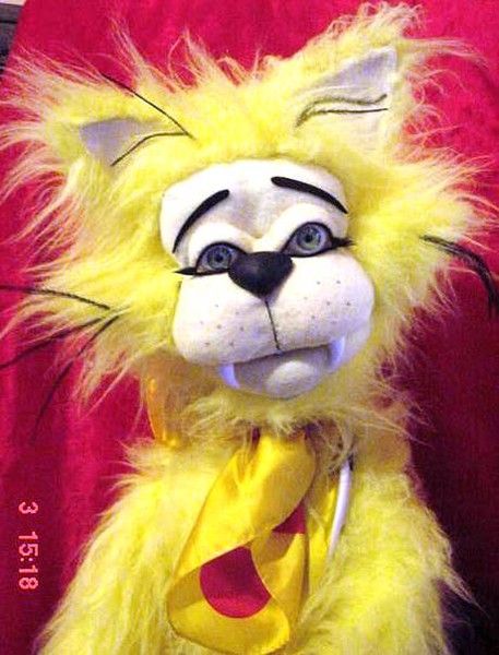 Jeremy the Cat