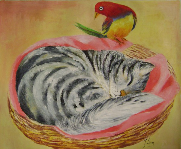 red bird