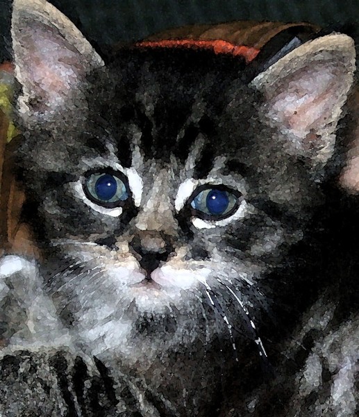 Wide-eyed