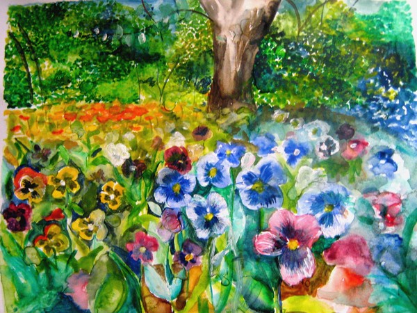 Violets in the garden