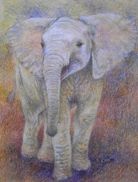 Elephant Baby