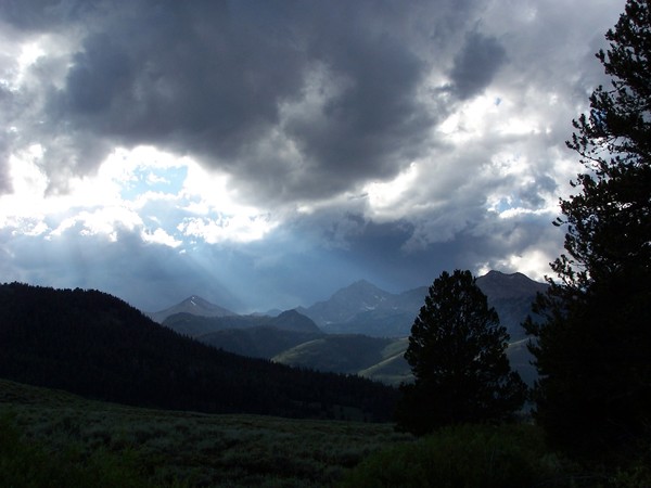 Summer Storm