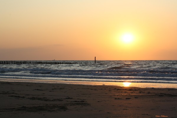 Golden Sun